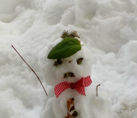 Primăvara înzăpezită