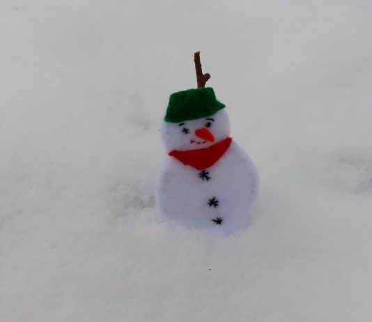 De-a v-ați ascunselea cu omul de zăpadă