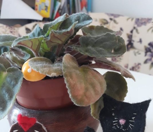 Într-o baltă cu noroi