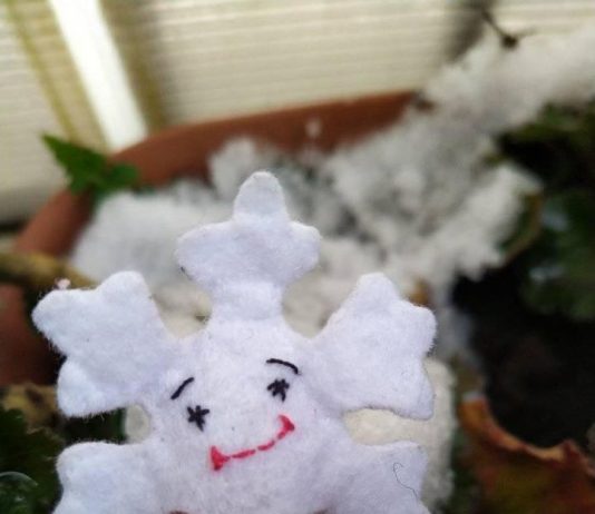 Iarnă de noiembrie …