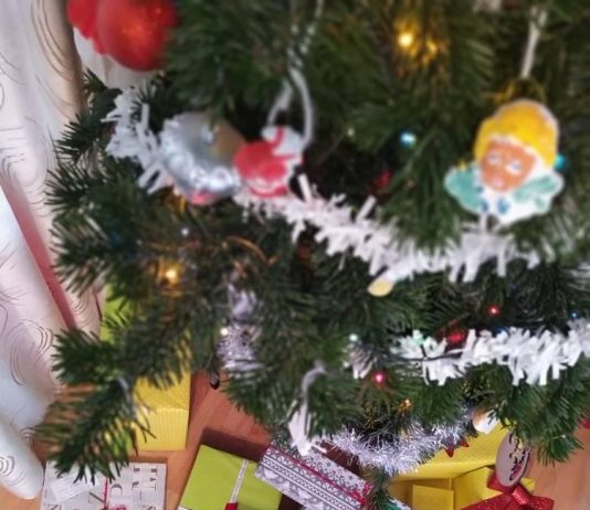 Cine are grijă de Moșul?