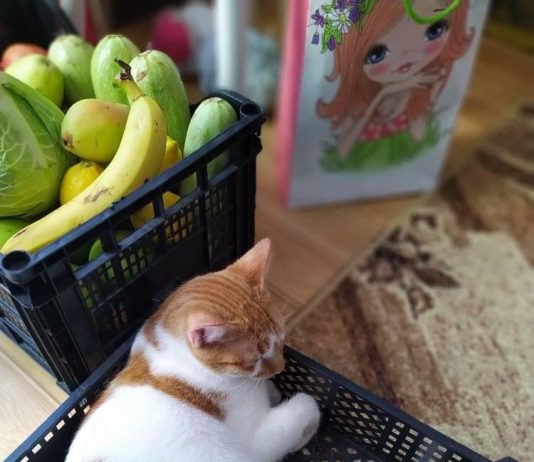 Când doarme vânzătorul …